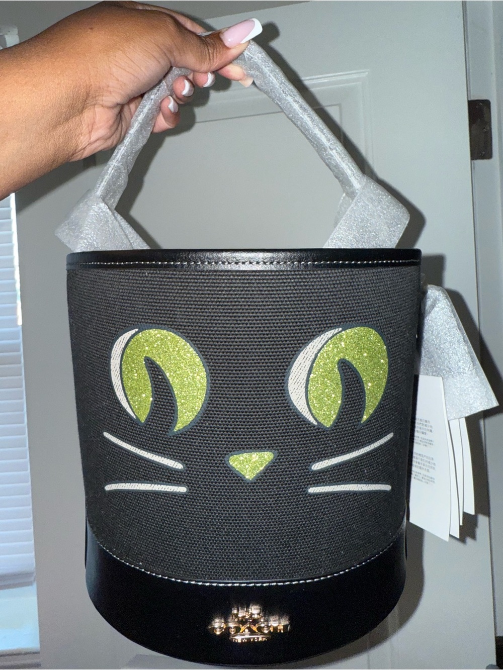 Coach Halloween bucket NWT
